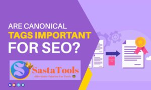 Are Canonical Tags Important To SEO?